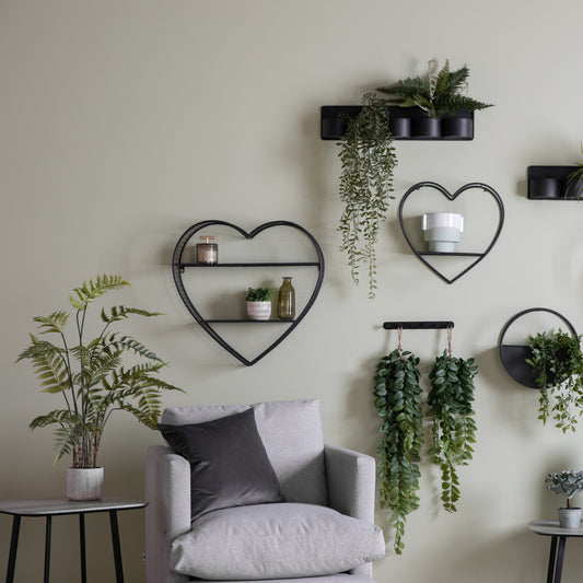 Potted Fern in Cement Pot