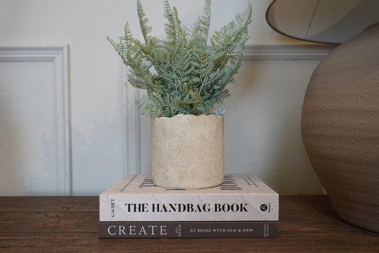 Potted Fern 35cm
