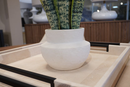 Faux Snake Plant in Ceramic Pot