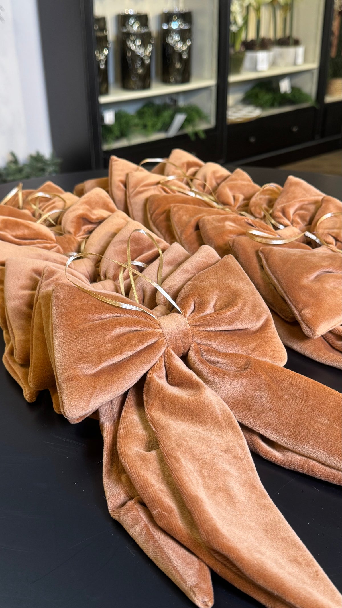 Carmel Bows