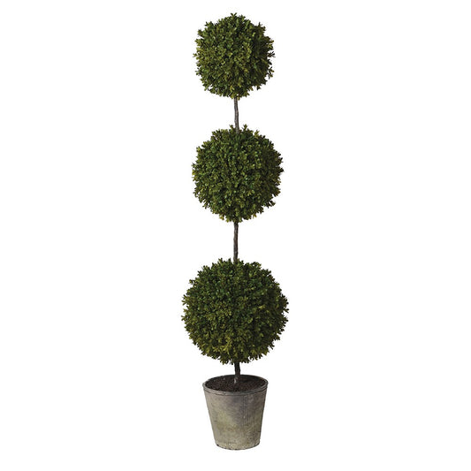 Green Triple Ball Topiary in Grey Cement Pot Green Triple Ball Topiary in Grey Cement Pot