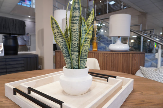 Faux Snake Plant in Ceramic Pot