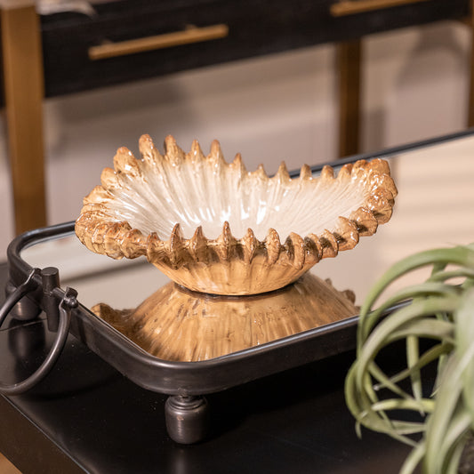 Venus Shell Bowl