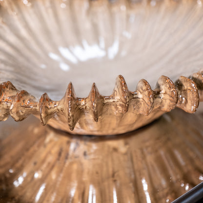 Venus Shell Bowl
