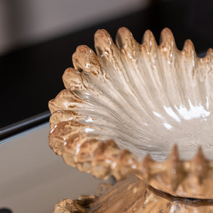 Venus Shell Bowl