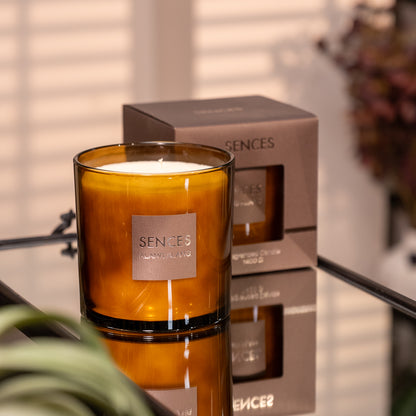 Sences Amber Large 3 Wick Candle