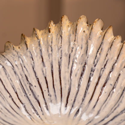 Sunray Shell Bowl